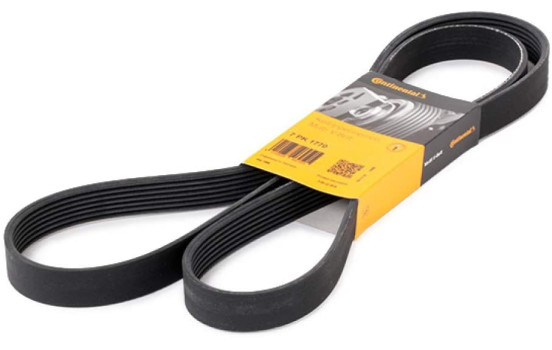 V-Ribbed Belts 7PK1770 Contitech