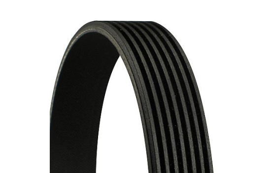 V-Ribbed Belts 7PK1770 Contitech, Image 2