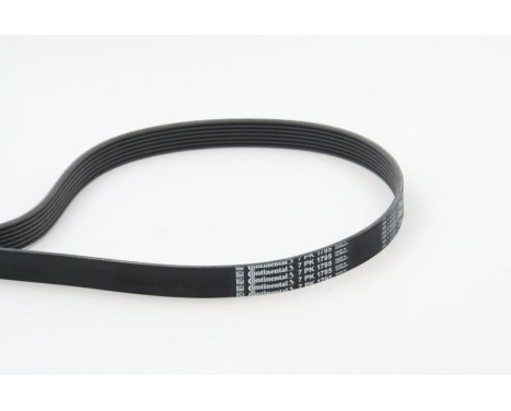 V-Ribbed Belts 7PK1795 Contitech, Image 2