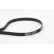 V-Ribbed Belts 7PK1795 Contitech, Thumbnail 2