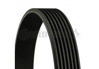 V-Ribbed Belts 7PK1845 Contitech