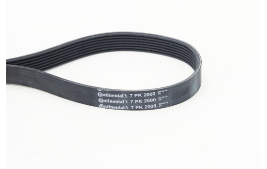V-Ribbed Belts 7PK2000 Contitech, Image 3