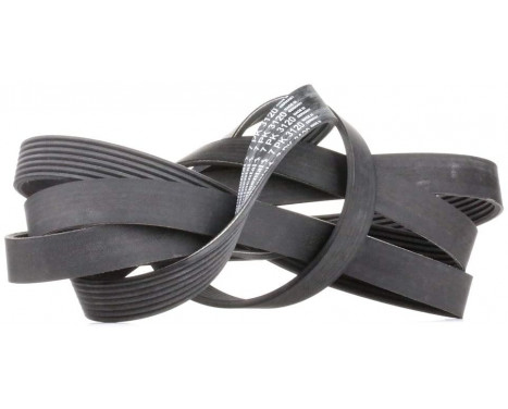 V-Ribbed Belts 7PK3120 Contitech