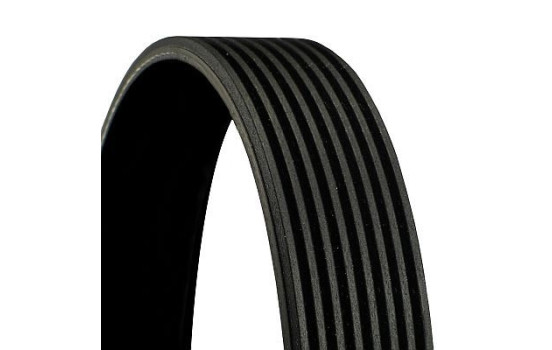 V-Ribbed Belts 8PK1390 Contitech, Image 2