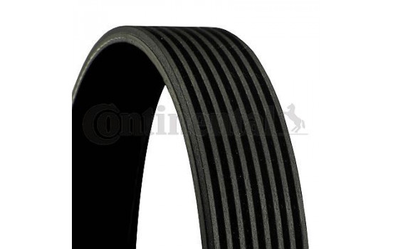 V-Ribbed Belts 8PK1600 Contitech