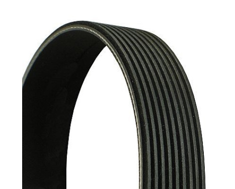 V-Ribbed Belts 9PK2125 Contitech