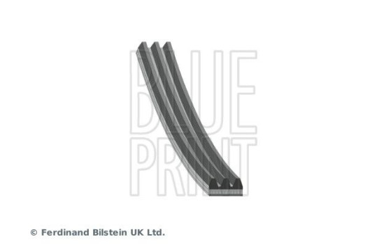 V-Ribbed Belts AD03R735 Blue Print, Image 2