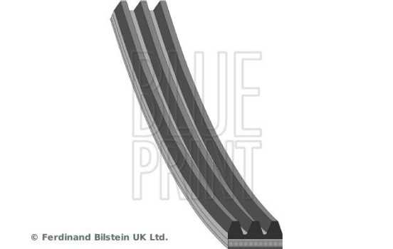 V-Ribbed Belts AD03R735 Blue Print, Image 2