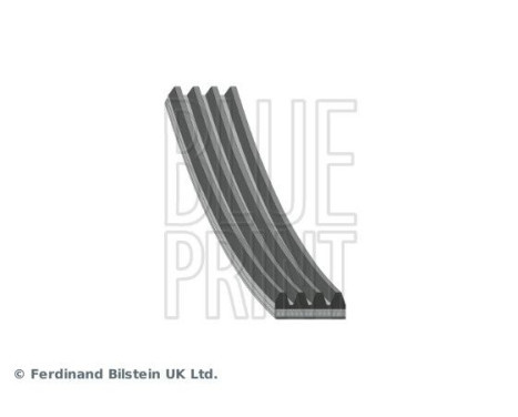 V-Ribbed Belts AD04R1110 Blue Print, Image 2