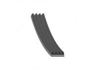 V-Ribbed Belts AD04R1580 Blue Print