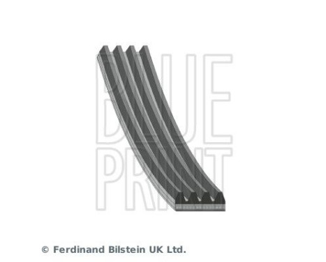 V-Ribbed Belts AD04R1580 Blue Print, Image 2