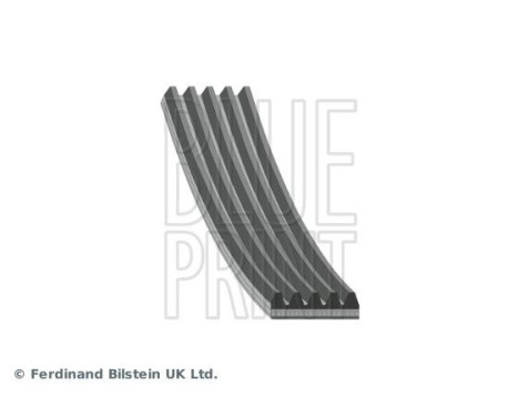 V-Ribbed Belts AD05R1125 Blue Print, Image 2