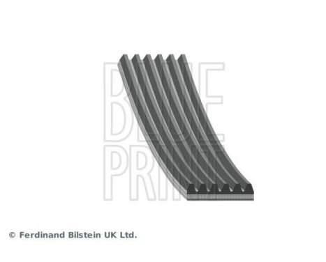 V-Ribbed Belts AD06R1212 Blue Print, Image 2