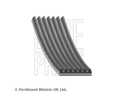 V-Ribbed Belts AD07R1380 Blue Print, Image 2