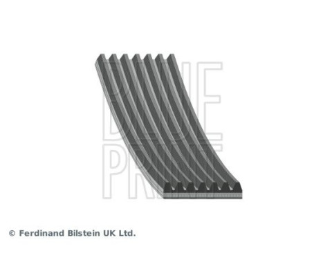 V-Ribbed Belts AD07R990 Blue Print, Image 2