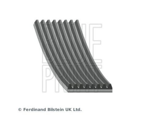 V-Ribbed Belts AD08R1310 Blue Print, Image 2