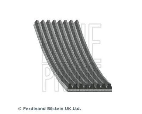 V-Ribbed Belts AD08R1355 Blue Print, Image 2