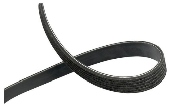 V-Ribbed Belts DMV-1539 Kavo parts, Image 2