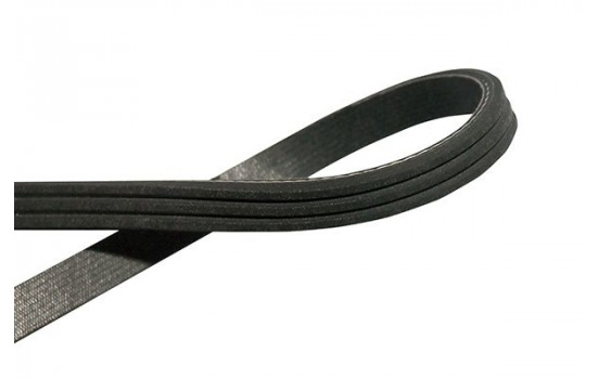 V-Ribbed Belts DMV-6564 Kavo parts