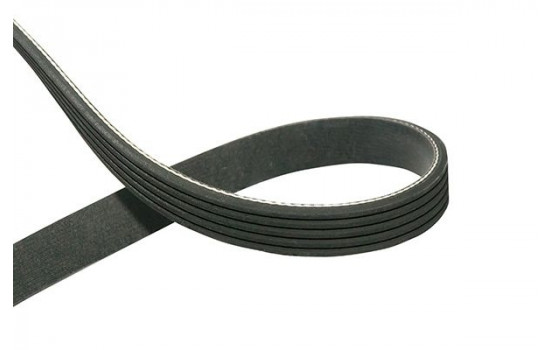 V-Ribbed Belts DMV-7506 Kavo parts