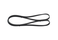 V-Ribbed Belts