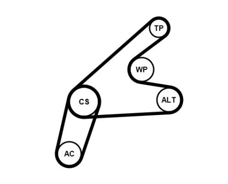 Water pump + Multi V-belt kit 6PK1306WP2 Contitech, Image 3
