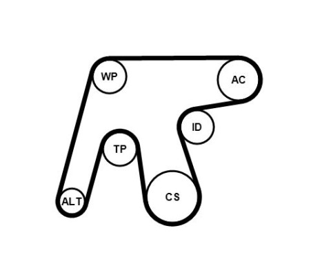 Water pump + Multi V-belt set 6PK1642WP3 Contitech, Image 2