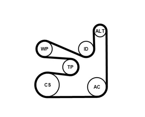 Water pump + Multi V-belt set 6PK1660WP2 Contitech, Image 2