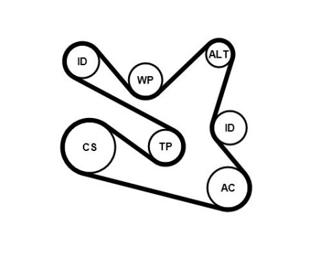 Water pump + Multi V-belt set 7PK1570WP1 Contitech, Image 2