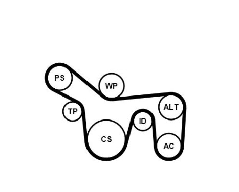 Water Pump + V-Ribbed Belt Set 6PK1715WP1 Contitech, Image 2