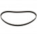 Timing Belt 11031 FEBI