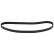 Timing Belt 11033 FEBI