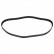 Timing Belt 11039 FEBI