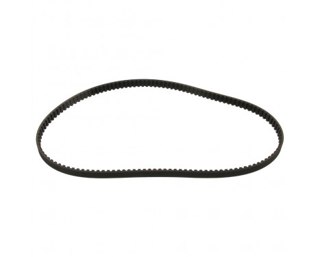 Timing Belt 17813 FEBI