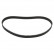Timing Belt 26050 FEBI