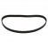 Timing Belt 26281 FEBI