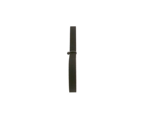 Timing Belt 281LAH079 Bosch, Image 4