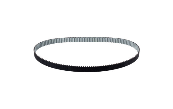 Timing belt 31725 FEBI