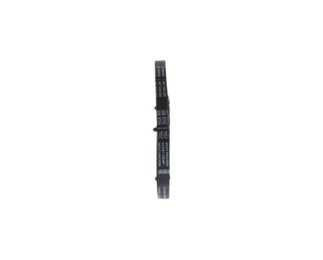 Timing Belt 390LA059 Bosch, Image 6