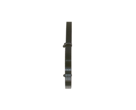 Timing Belt 465LAN071 Bosch, Image 4