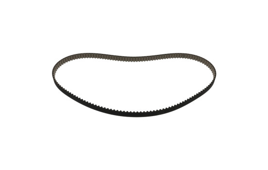 Timing belt 49436 FEBI
