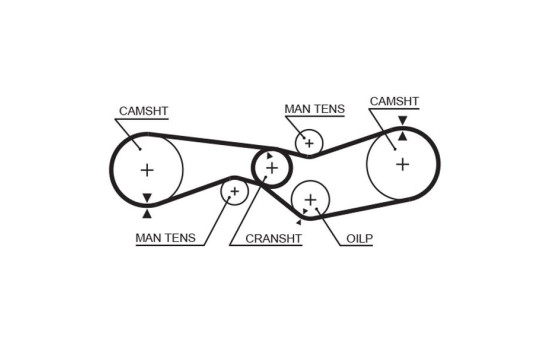 Timing belt 5009 Gates