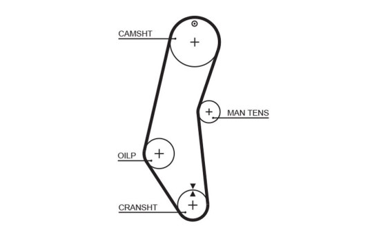 Timing belt 5018 Gates