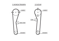 Timing belt 5019 Gates