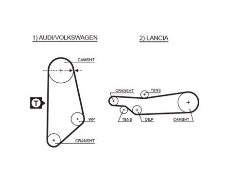 Timing belt 5031 Gates