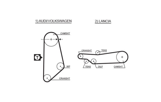 Timing belt 5031 Gates