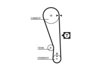 Timing belt 5036 Gates