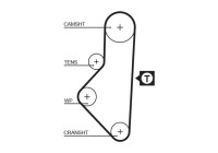 Timing belt 5050XS Gates