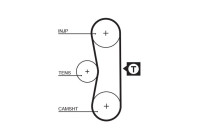 Timing belt 5062 Gates