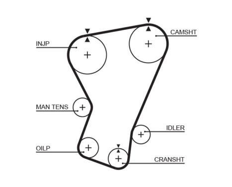 Timing belt 5065 Gates